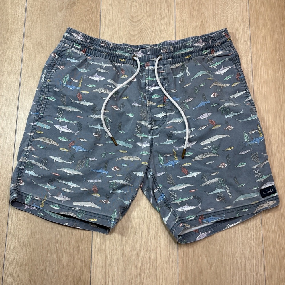 Barney Cools Mens Shark Whale Aquatic Print Amphibious Walk Shorts Grey Size 34
